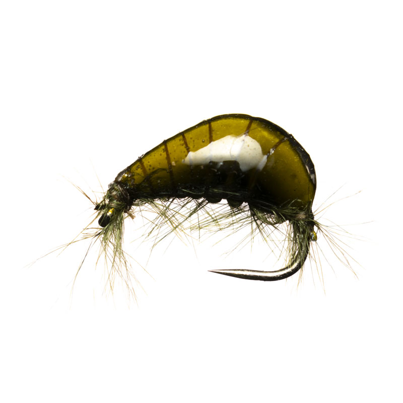 Jan Rozman Green Gammarus