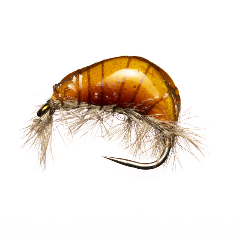 Jan Rozman Yellow-Orange Gammarus