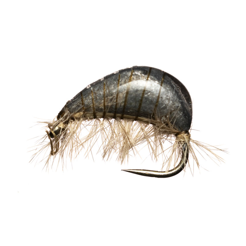 Jan Rozman Grey Gammarus