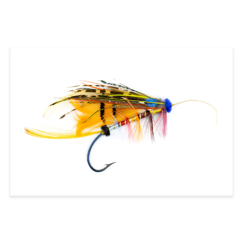 Calzolari Shannon #12 20x30 Photography