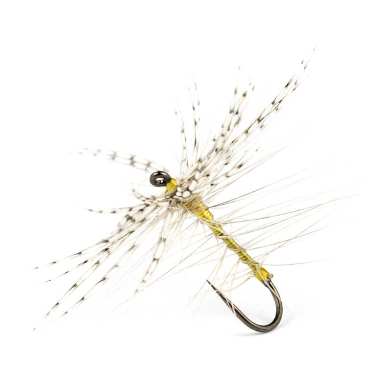 Oreglini Fly Assasine de Pequegnot