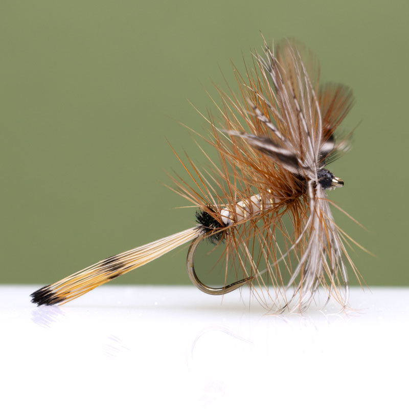 GR Panama Dry Fly
