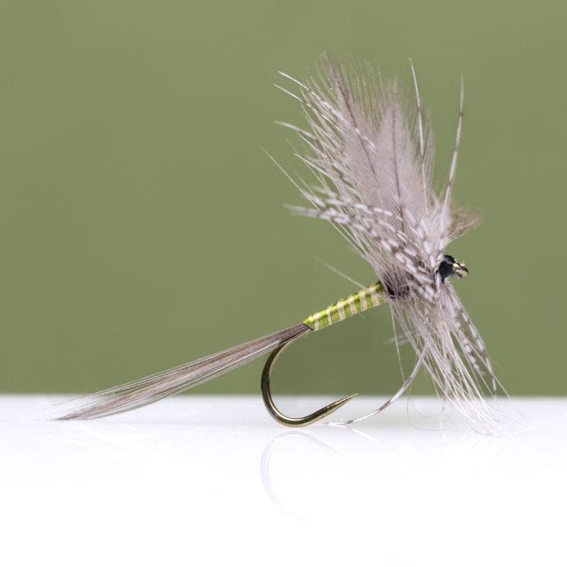 GR Green Dun Dry Fly
