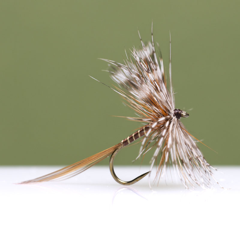 GR Brown Partridge Dry Fly