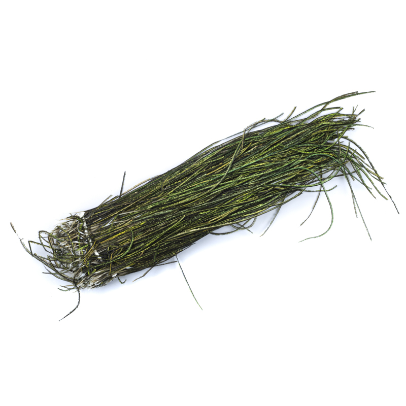 Quill&Fly Herl di Pavone