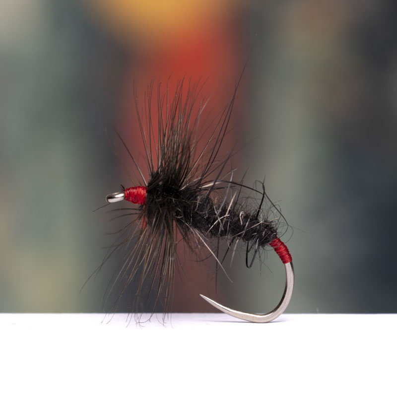 Futsu Kebari Dark