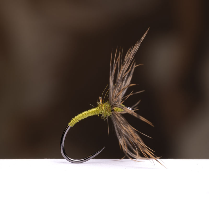 Menghini Green Sakasa Kebari