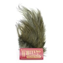 Whiting Coq de Leon Euro Nymph Tailing Pack