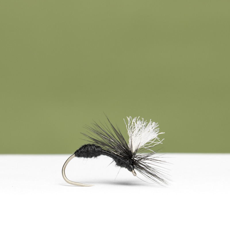 GR Ant Dry Fly