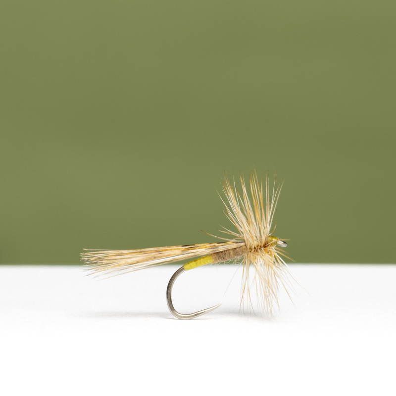 GR Leon Sedge Light Dry Fly