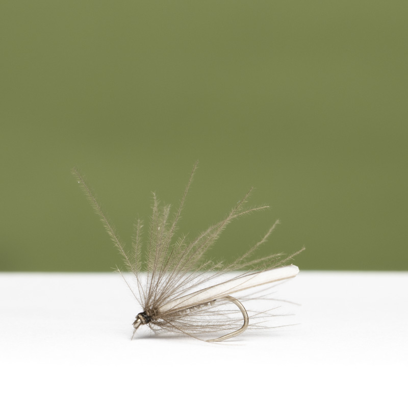 GR Leuctra Dry Fly