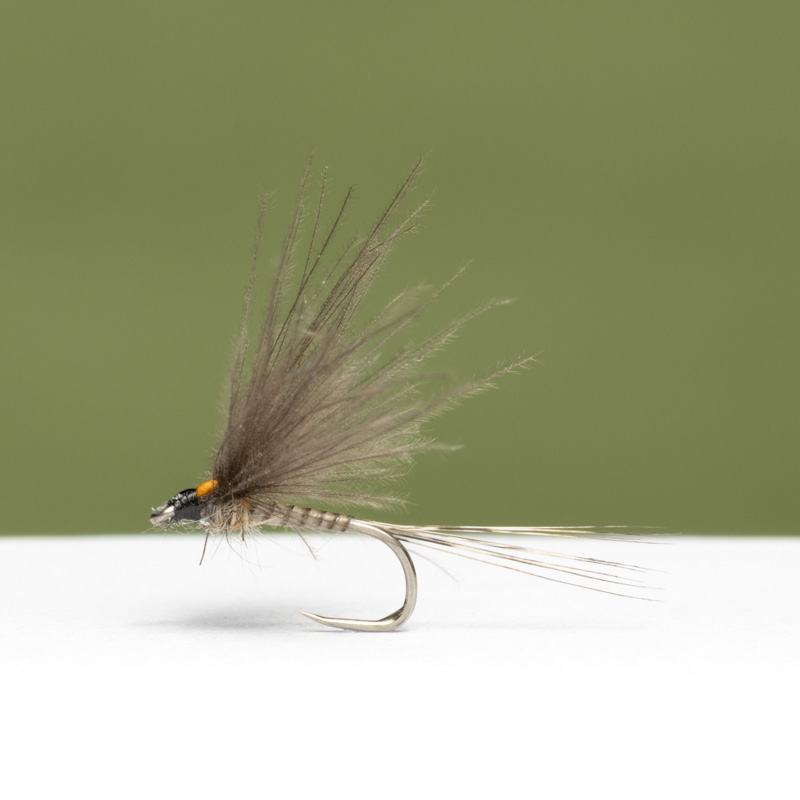 GR Effimera CDC Dry Fly