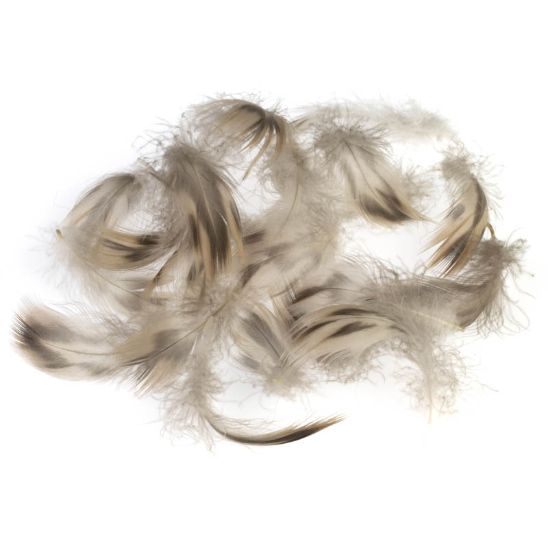 Chevron Hen Mallard Breast Feathers