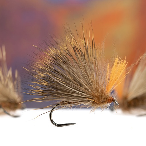[BJ10-D-DC] Bostian Jakopic Dark Caddis