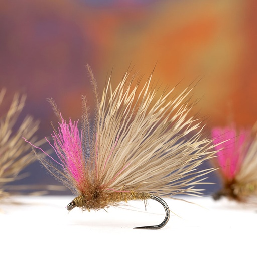 [BJ14-D-LC] Bostian Jakopic Light Caddis
