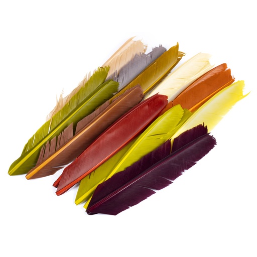 Contiflies Tacchino Biot Quill