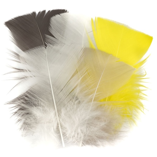 Contiflies Turkey Flats