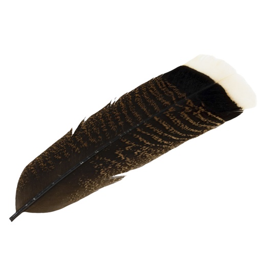 [CNT-WTTT-NAT] Contiflies Coda di Tacchino White Tipped