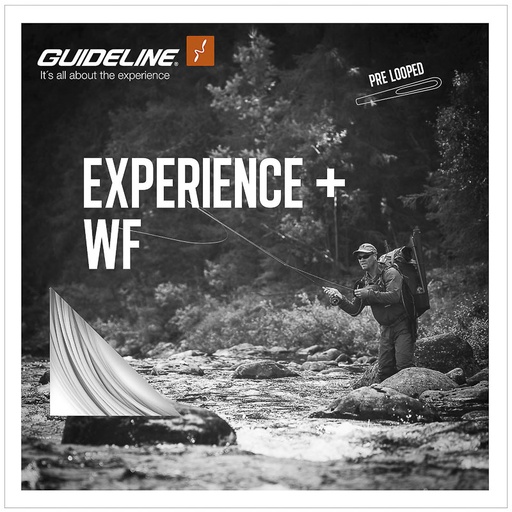 Guideline Experience+ WF Line