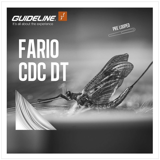 Guideline Fario CDC DT Line