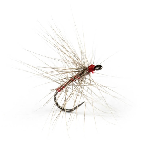 Oreglini Fly Sauvage