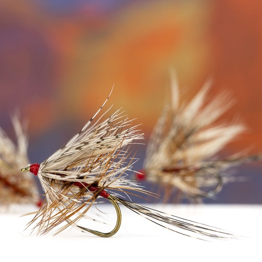 [TT-DFP02-12] Palmer Dry Fly DFP02