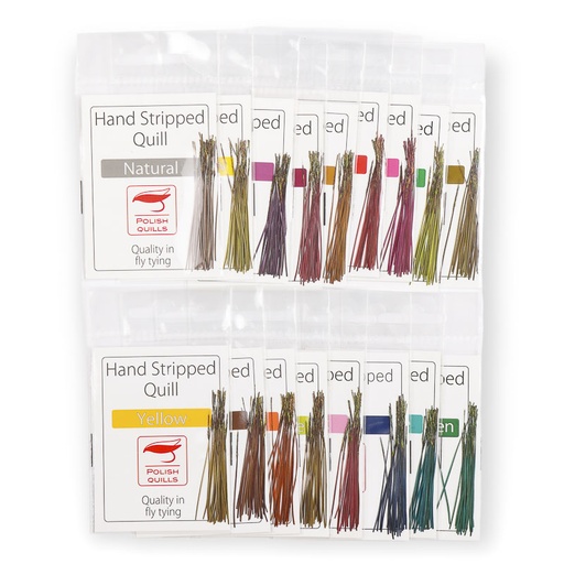 PolishQuills Stripped Peacock Quill