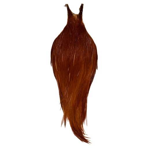 Root River Collo Brown