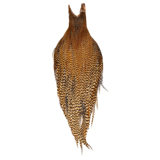 [RRH-C-CRE-1] Root River Collo Cree