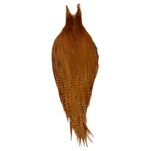 Root River Collo Dark Barred Ginger