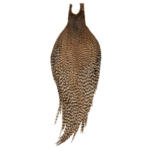 [RRH-C-LCR-1] Root River Collo Light Cree