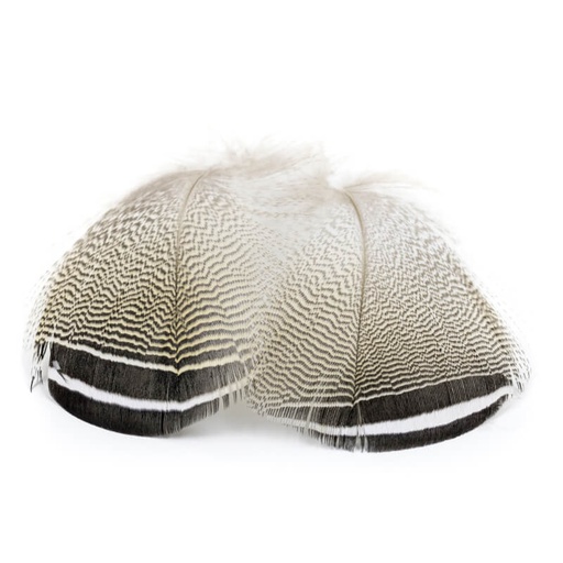 [WPS-WDBW] Wapsi Wood Duck Black and White