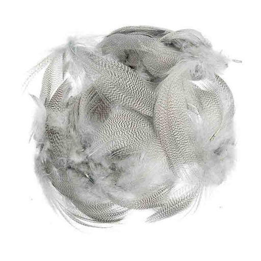 [VEN-MF] Veniard Fianco di Germano