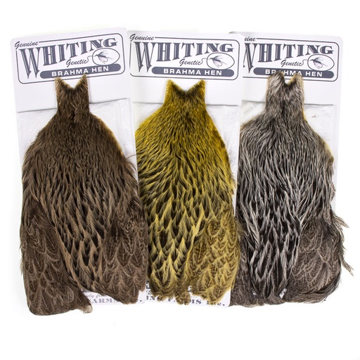 Whiting Brahma Collo di Gallina