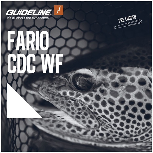 Guideline Fario CDC WF Line