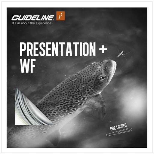 Guideline Presentation+ WF