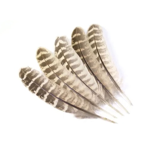 [VEN-HPWQ] Veniard Hen Pheasant Wing Quills