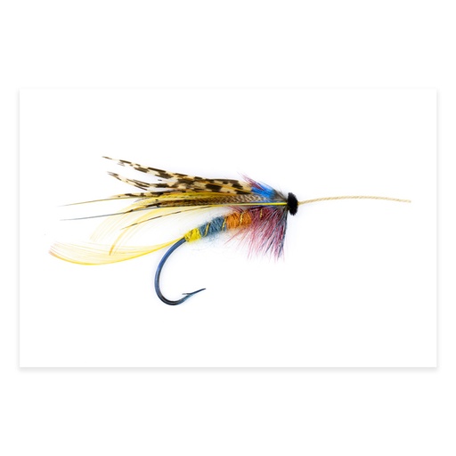 [ORE-CS-1] Calzolari Shannon #1 20x30 Photography