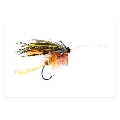 [ORE-CS-3] Calzolari Shannon #3 20x30 Photography