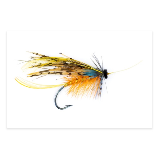 [ORE-CS-4] Calzolari Shannon #4 20x30 Photography
