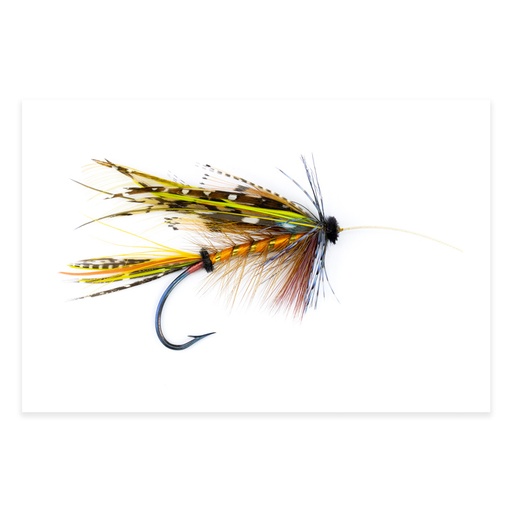[ORE-CS-5] Calzolari Shannon #5 20x30 Photography