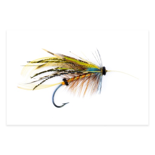 [ORE-CS-7] Calzolari Shannon #7 20x30 Photography
