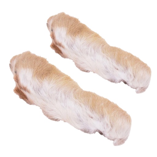 [54DS-SSHF] 54DS Snowshoe Hare Feet
