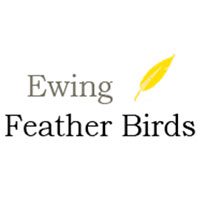 Ewing Feather Birds